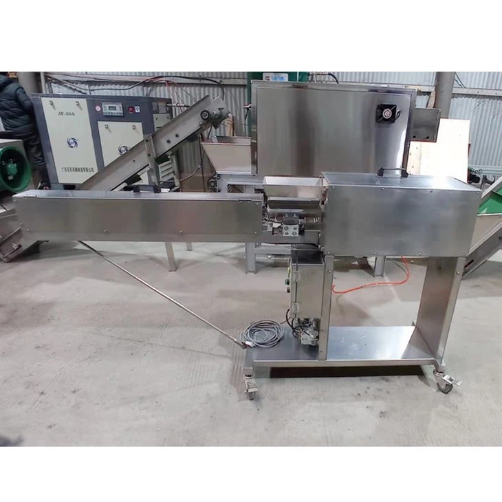carrot peeling machine (2)
