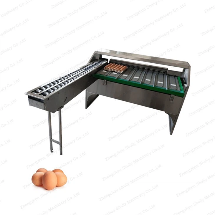 stainless steel egg grader machine (4)