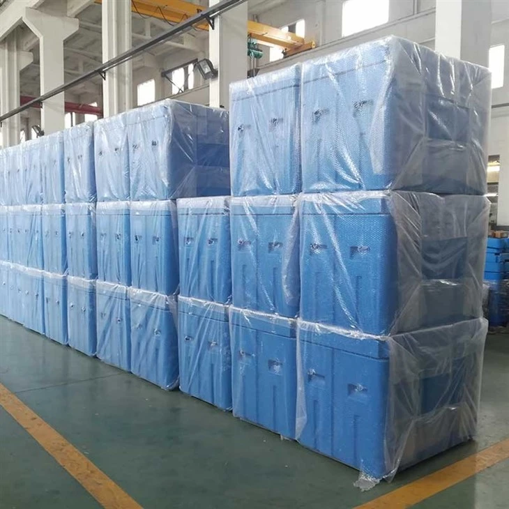 Dry ice incubator6