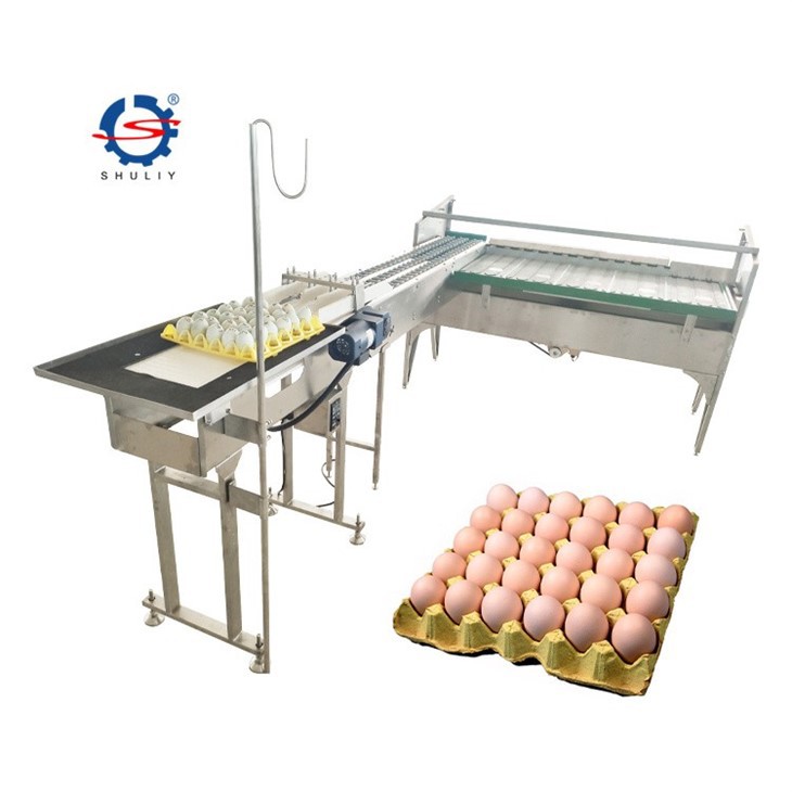 egg grading machine