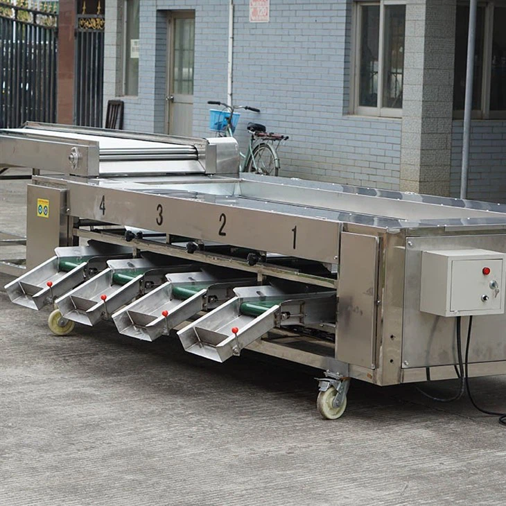 roller sorting machine (1)
