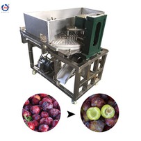 Plum Pitting Machine